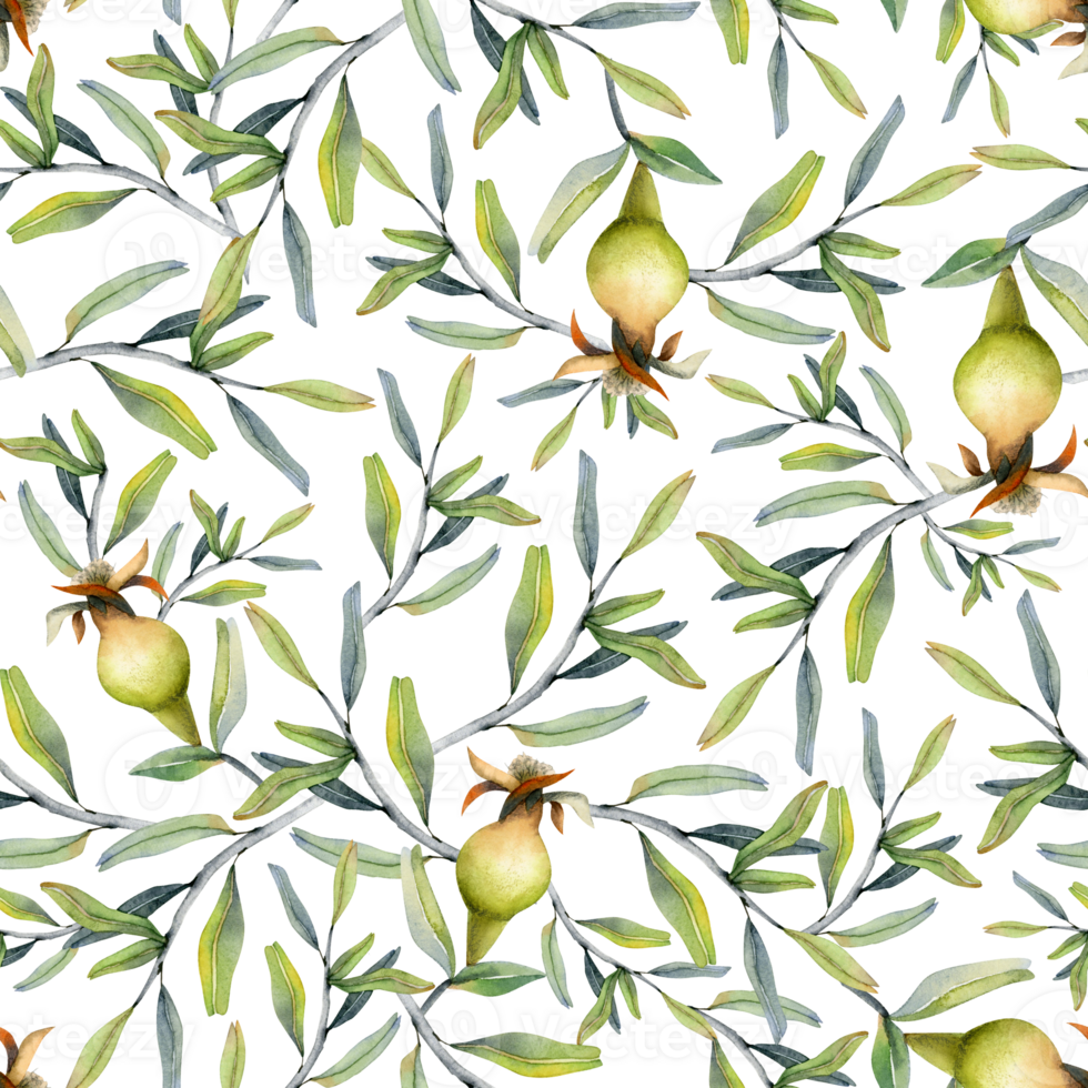 Watercolor pomegranate growing fruits and branches seamless pattern for fabrics, Jewish Rosh Hashanah greeting card, botanical floral designs png