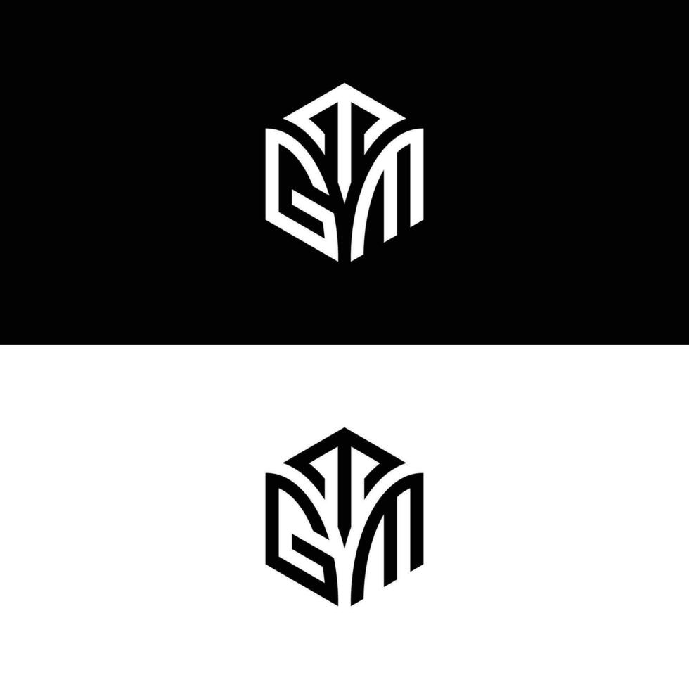 TGM hexagon logo vector, develop, construction, natural, finance logo, real estate, suitable for your company. vector