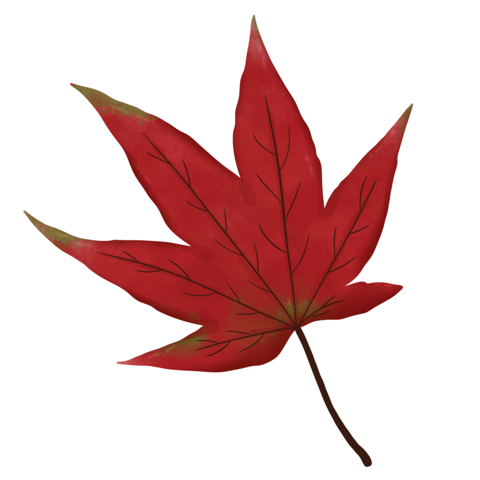 Red Maple Leaf 26560327 PNG red-maple-leaf-26560327-png