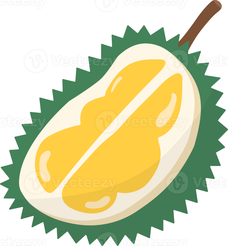 durian elements, Summer fruits. png