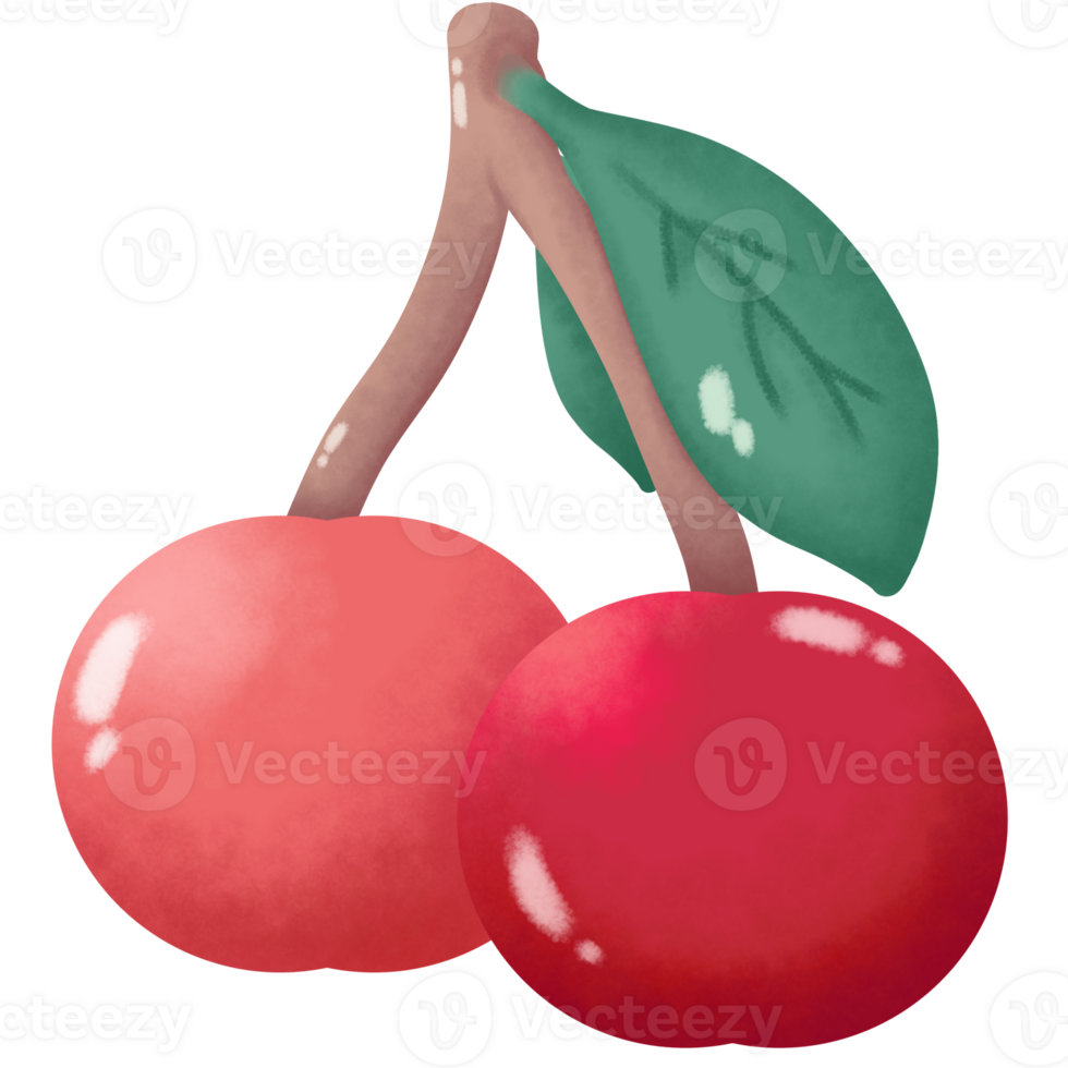 Twin Red Cherrys png