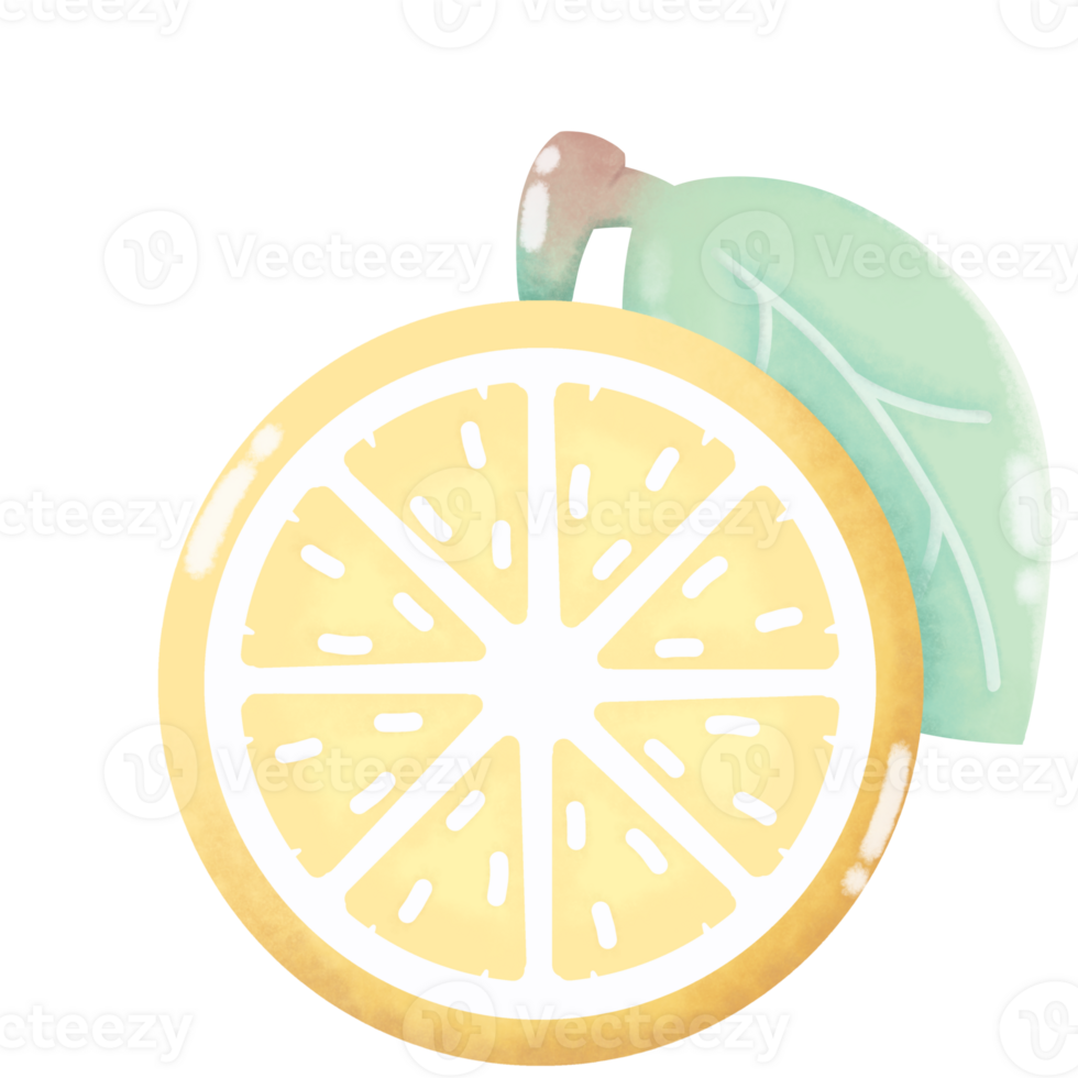 Half Cut Lemon With Leaf png