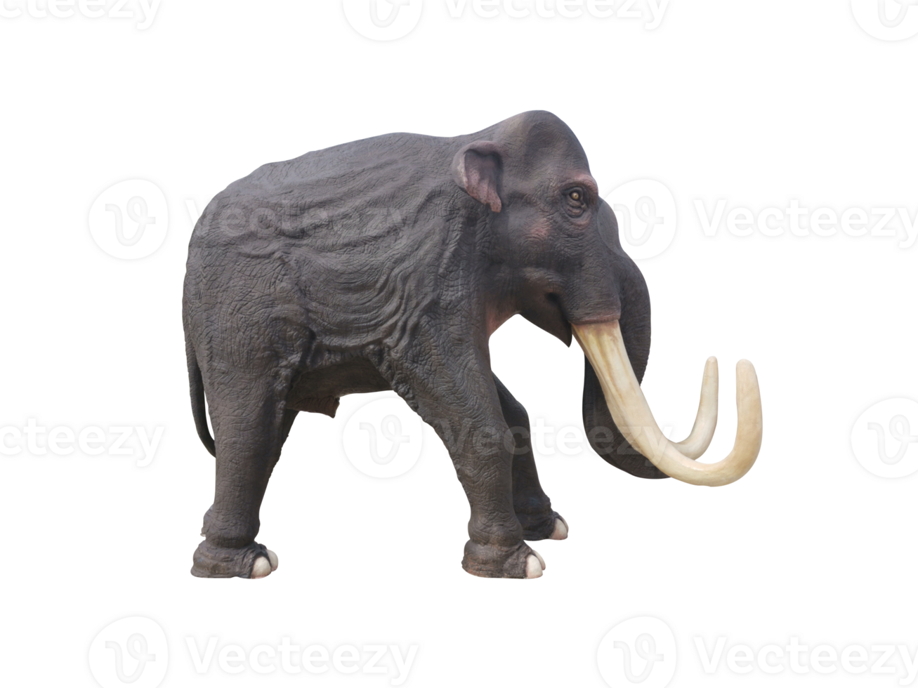 african elephant statue png