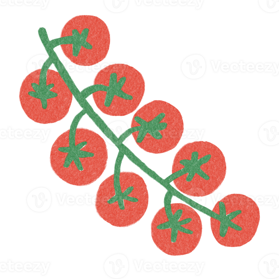 nourriture légume tomates illustration main tiré décoratif griffonnages png
