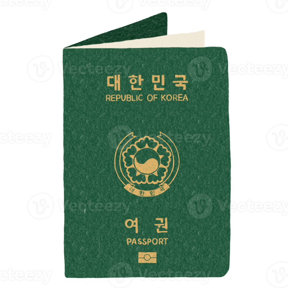 coreano viaje república de Corea pasaporte ilustración mano dibujado garabatos png