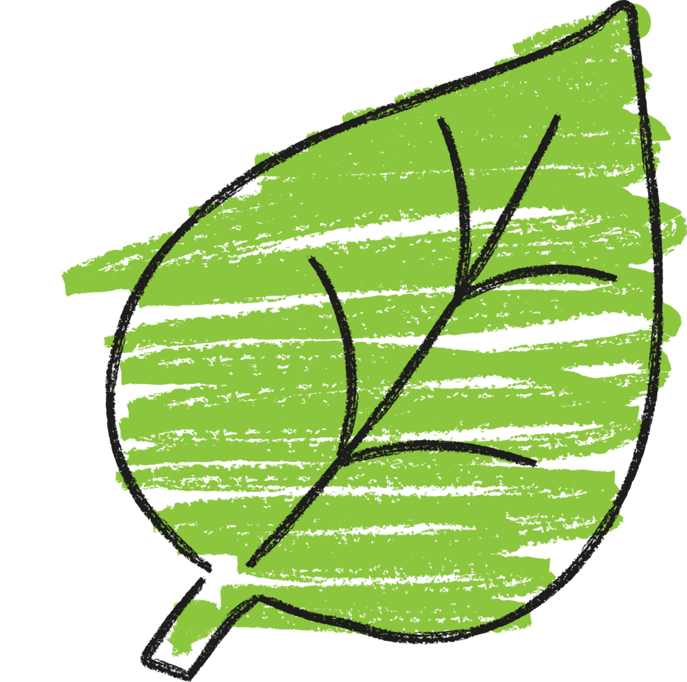 Power of Nature, Hand Drawn Doodle Line Art Leaf Icon for Environmental Protection, Recycling, Eco-Friendly, and Planet Care png