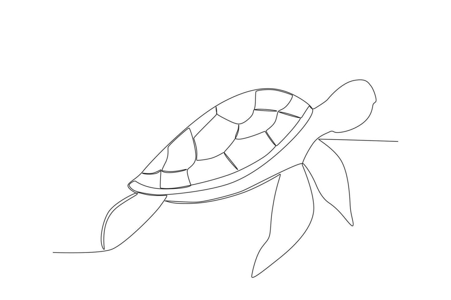 Vector sea turtle fauna aesthetic oneline continuous single line art