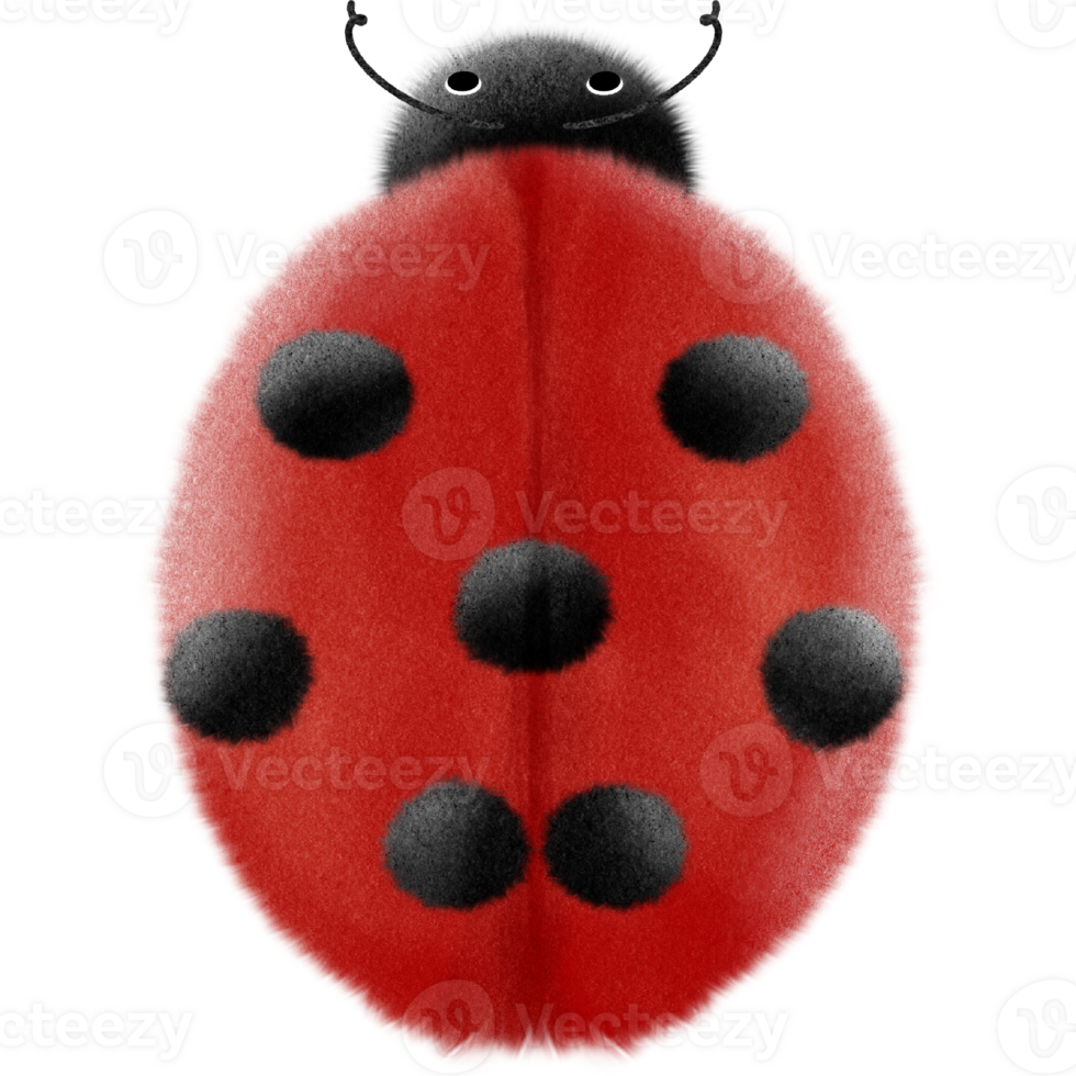 Lovely little ladybug png