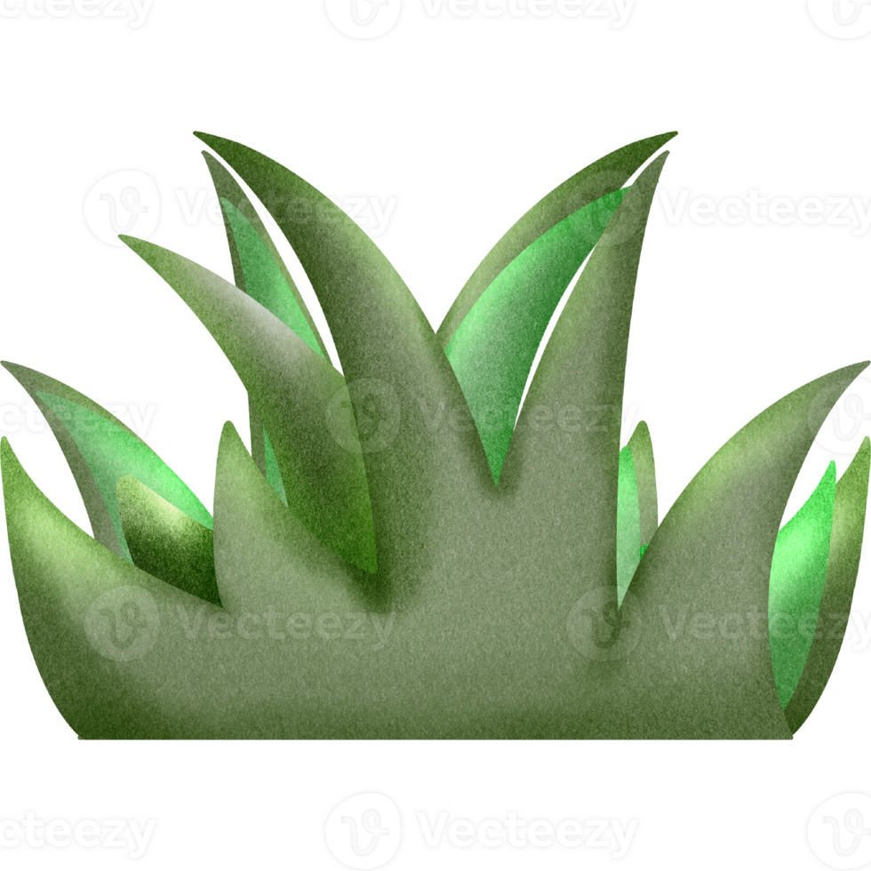 Cute green grass png