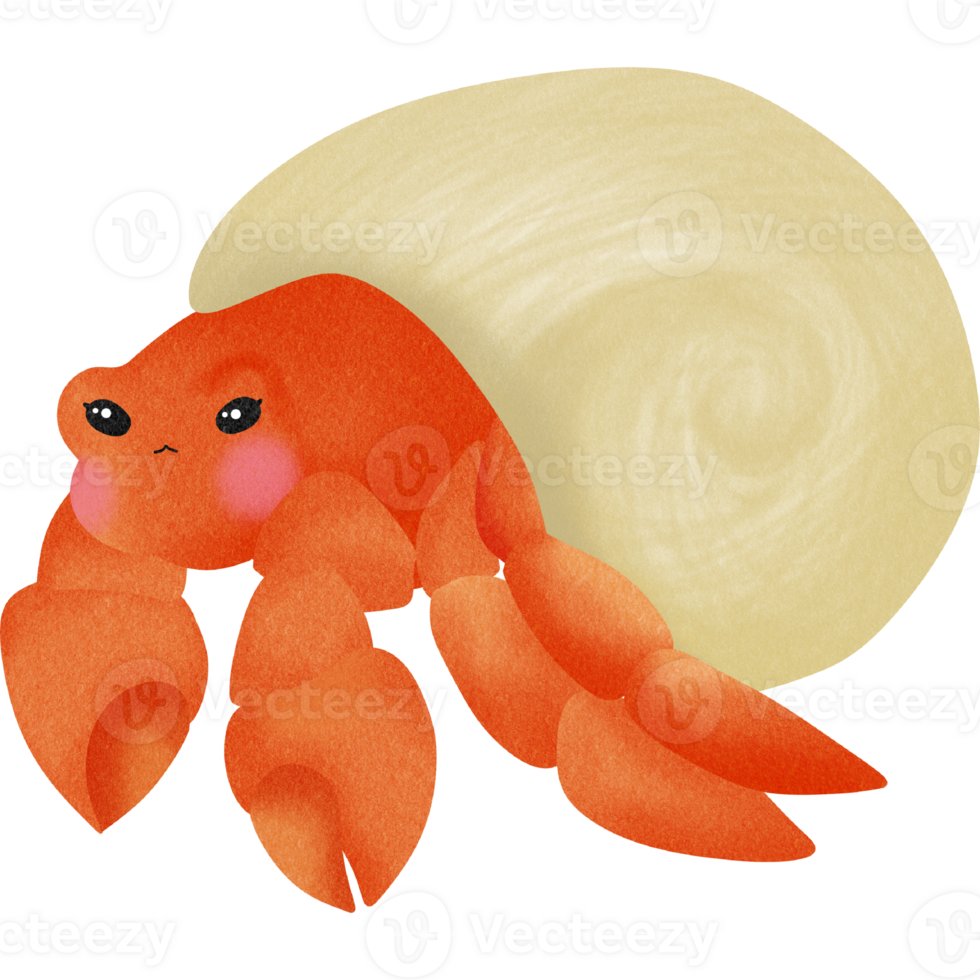 Cute sea creature png