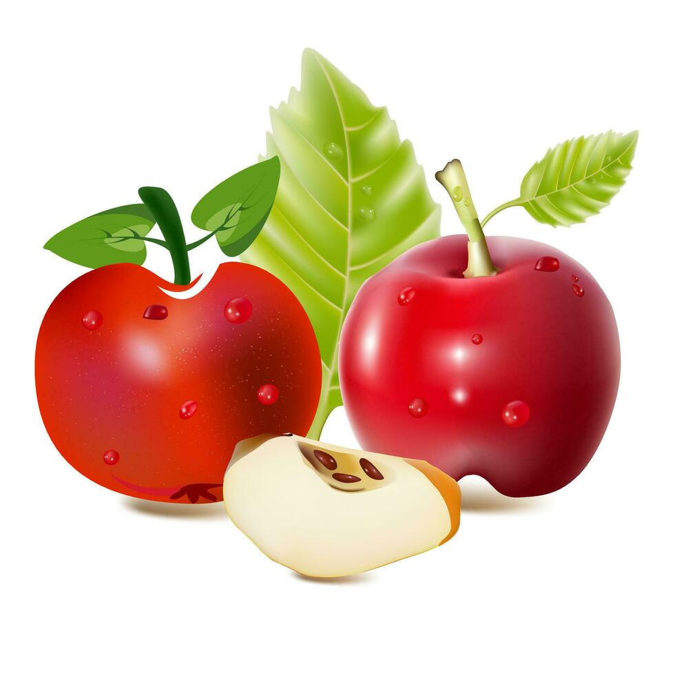 red and green apple fruits with cut and green leaves. vector