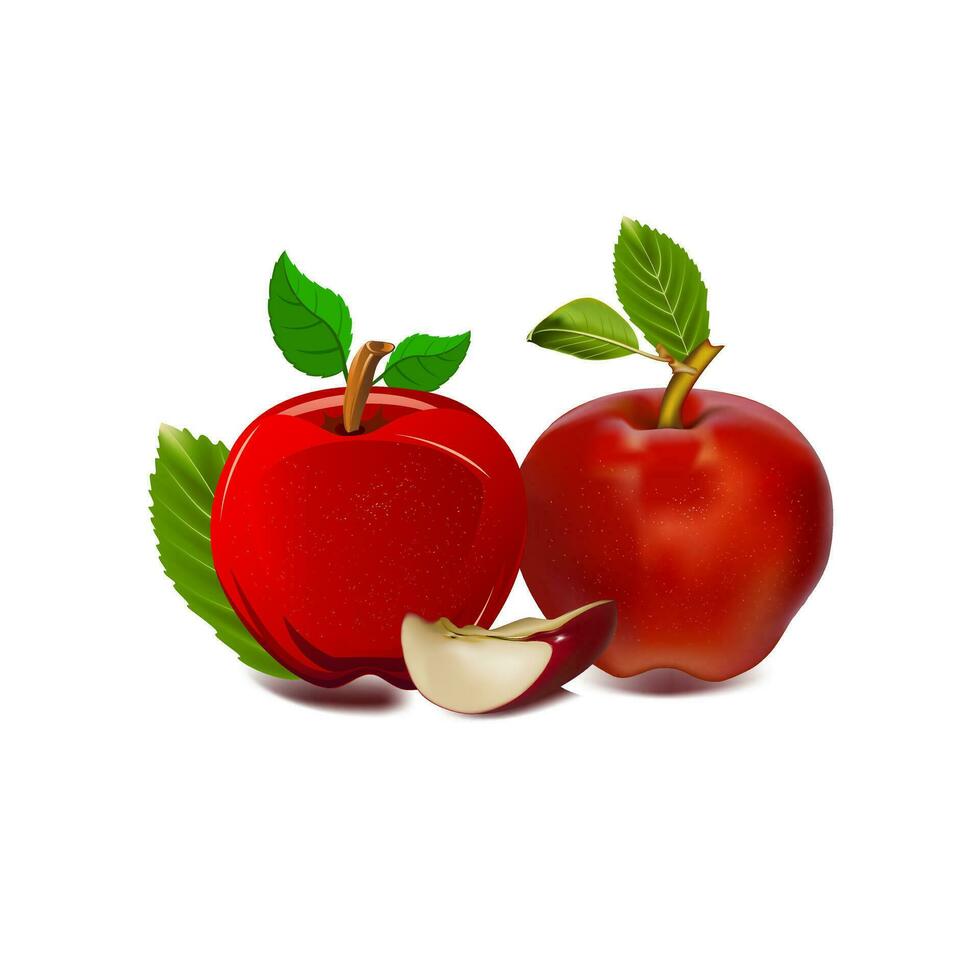 red and green apple fruits with cut and green leaves. vector