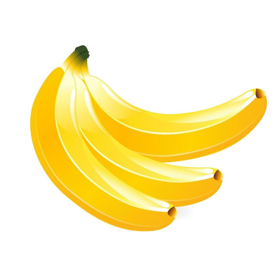 yellow colorful vector banana fruits flat illustrations