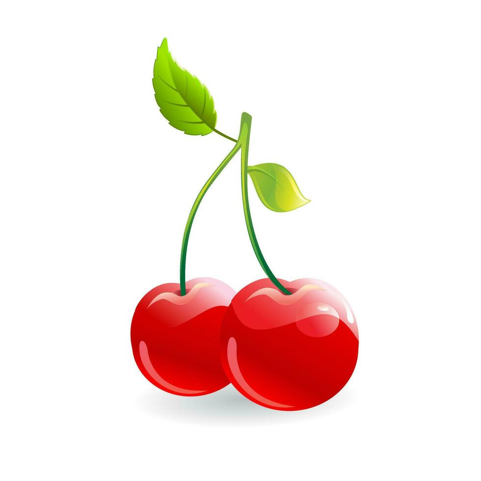 Realistic red cherry fruits with ripe leaves on blank background vector illustration