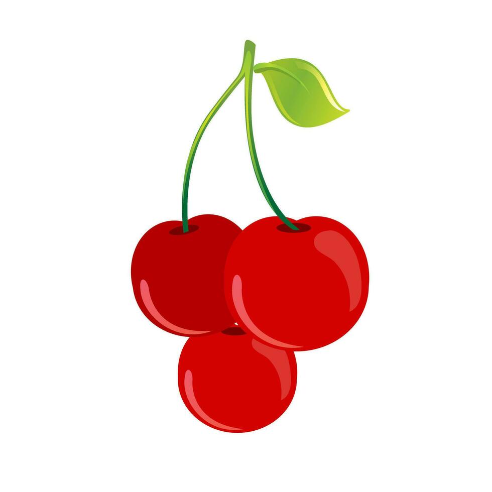 Realistic red cherry fruits with ripe leaves on blank background vector illustration