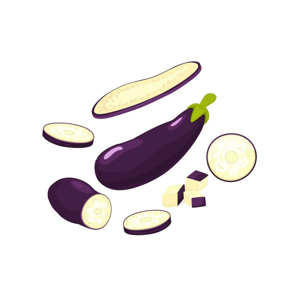 brinjal Vegetables eggplant, whole fruit and slices. Vector illustration isolated on white.