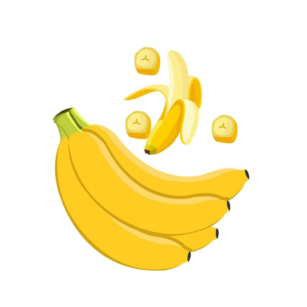 yellow colorful vector banana fruits flat illustrations