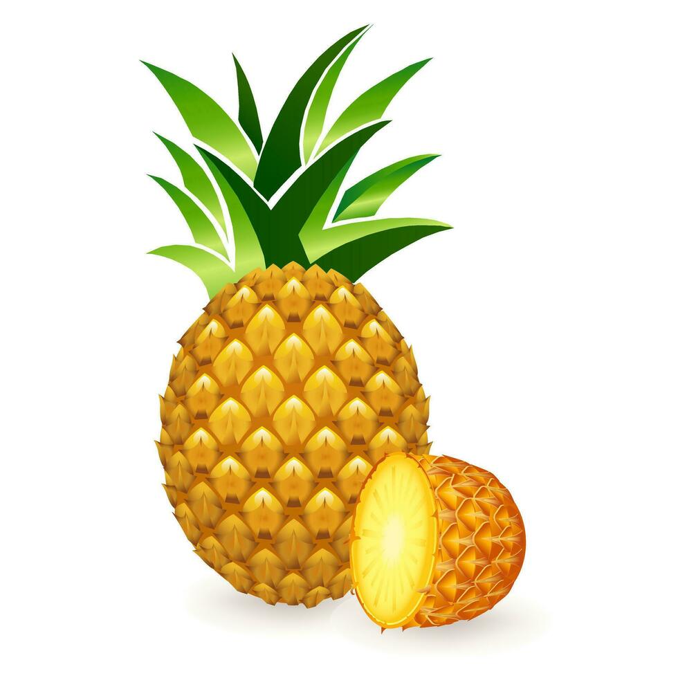 Vector illustration of the yellow ripe pineapple fruits