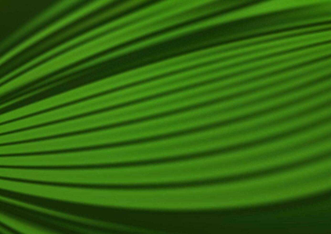 plantilla elegante moderna de vector verde claro.