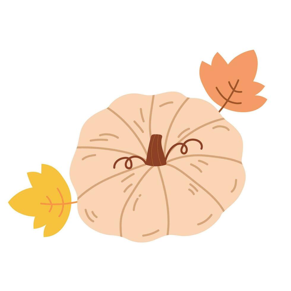 Cute pumpkin vegetable cartoon illustration. Hello autumn fall season. Elements for autumn decorative design, halloween invitation, harvest thanksgiving. Hand drawing flat vector illustration