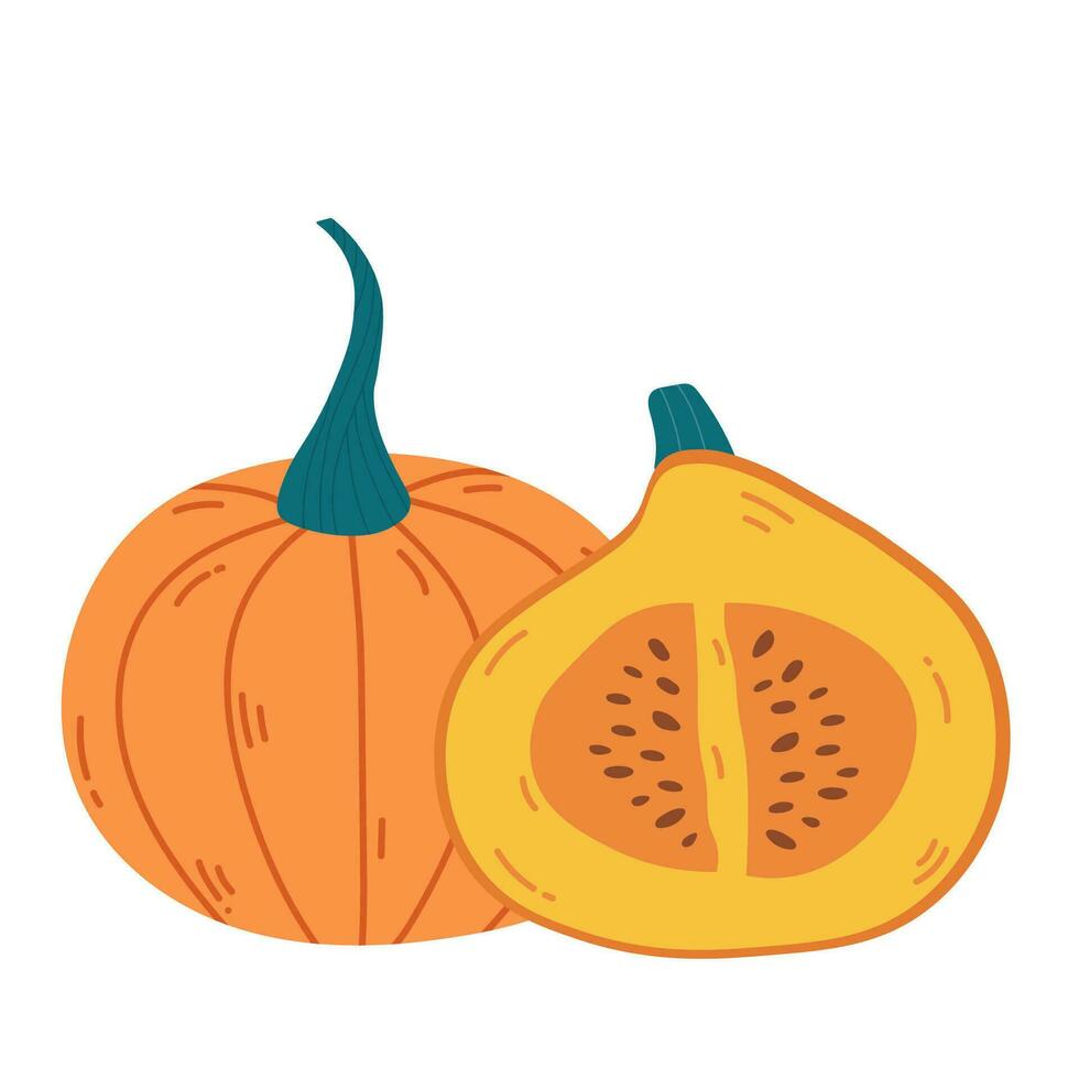 Half and half of orange ripe pumpkin with seeds. Hand drawing pumpkin composition vector illustration. Hello autumn fall season