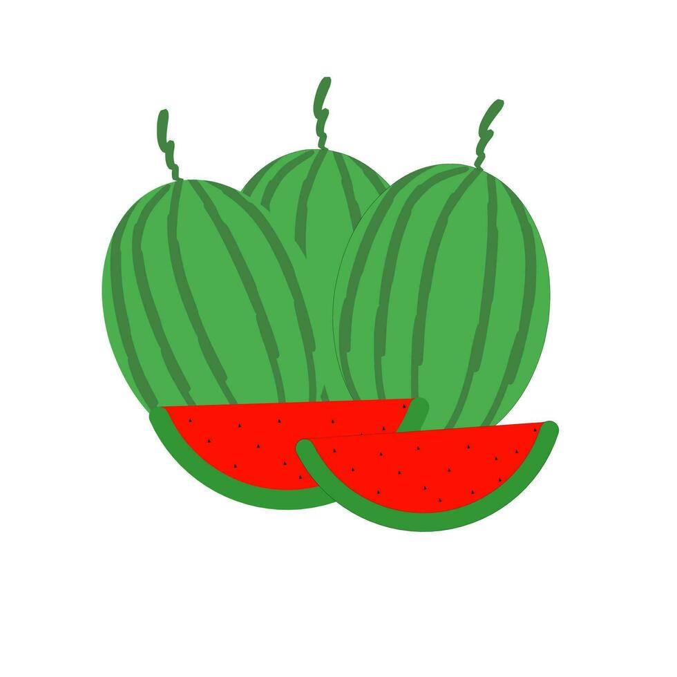 illustration of a watermelon on a white background vector