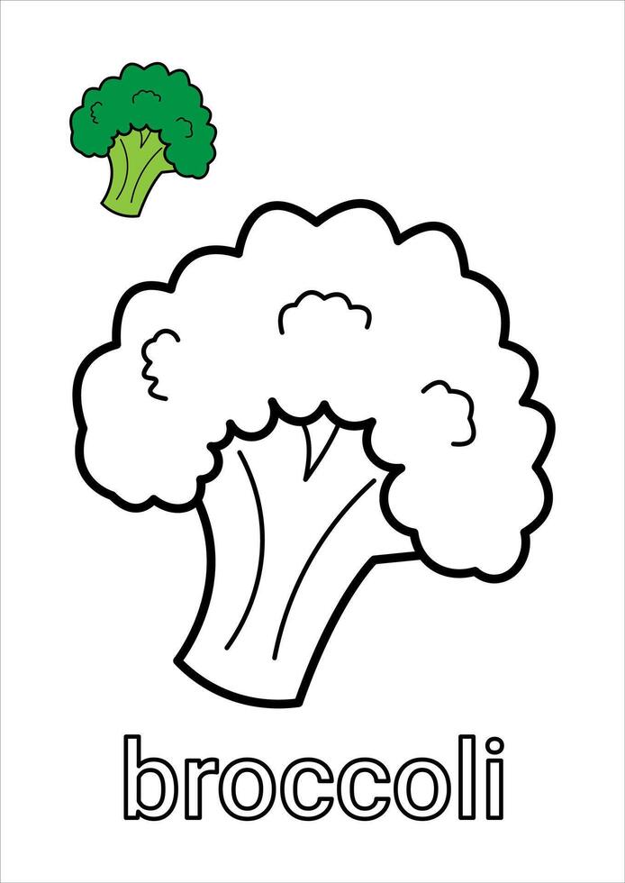 Broccoli Coloring Page for Kids vector