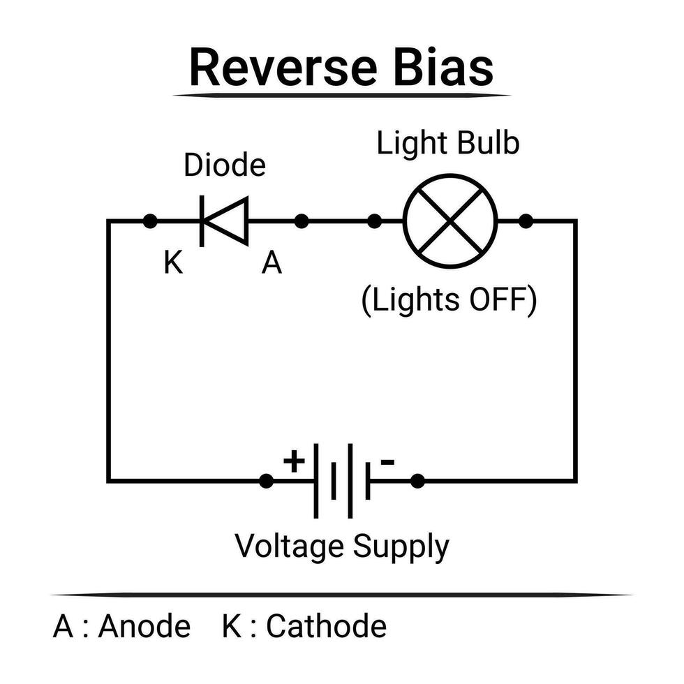 Reverse Bias Circuit Diagram vector