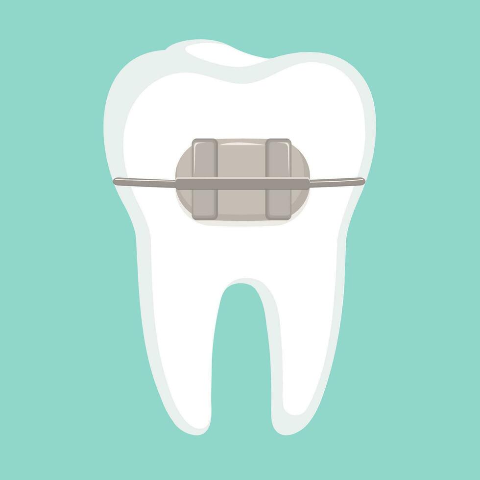 Tooth with braces Dentistry banner concept vector