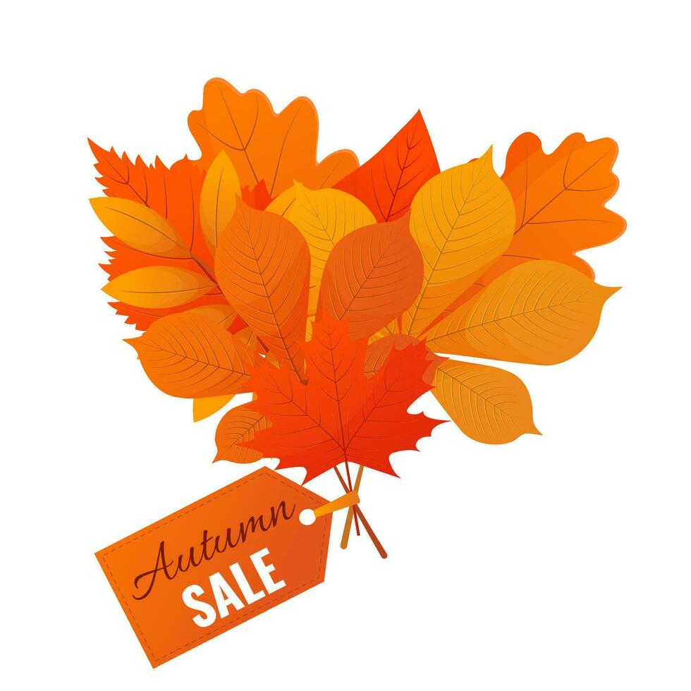 Bouquet with autumn leaves , autumn sale banner concept vector
