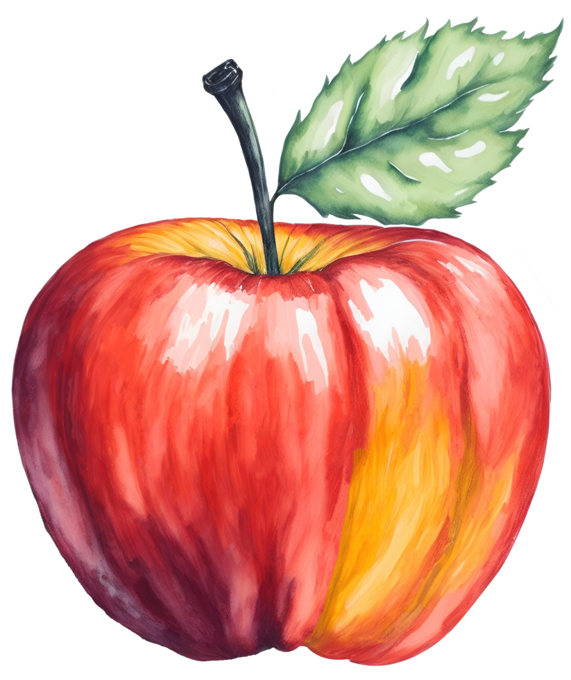Watercolor red apple isolated on white background. png