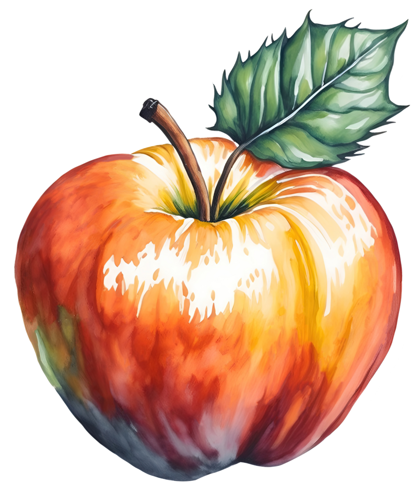 Watercolor red apple isolated on white background. png