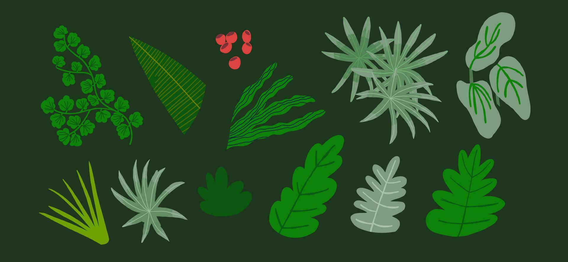 Vector set of flat illustrations of plants, trees, leaves, branches, bushes. Flat cartoon vector illustration