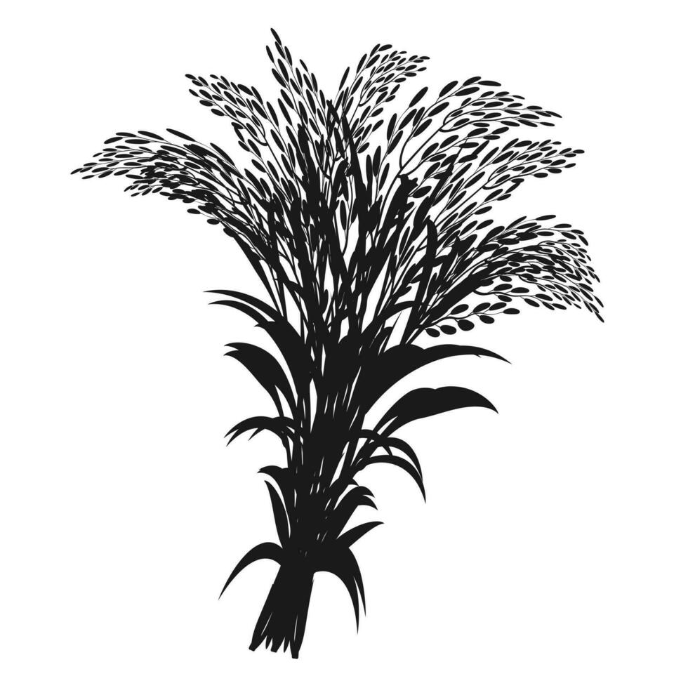 Silhouette of bunch of rice plant. Panicle of cereal crop. Bundle of ears vector