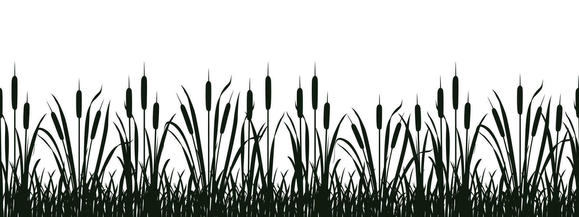 Seamless swamp vegetation silhouette. Vector illustration of border with reeds for design. River cattail.