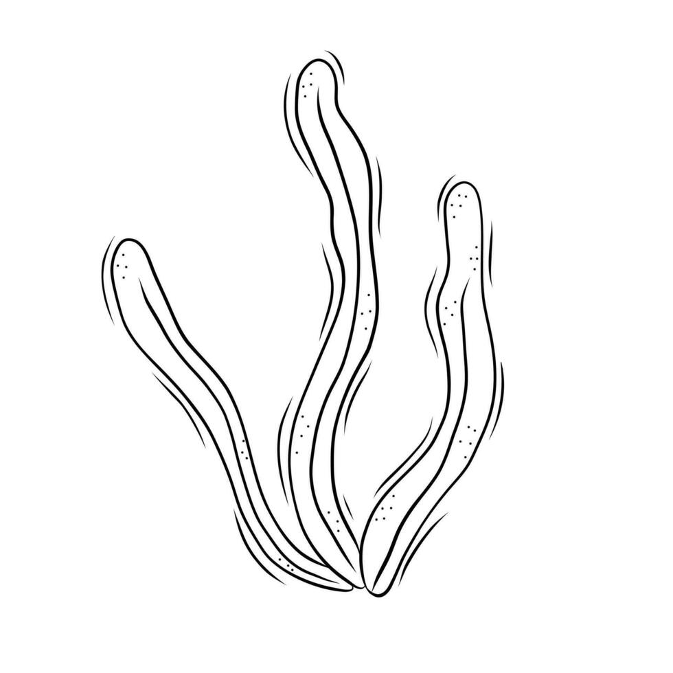 algas marinas vector ilustración en garabatear estilo