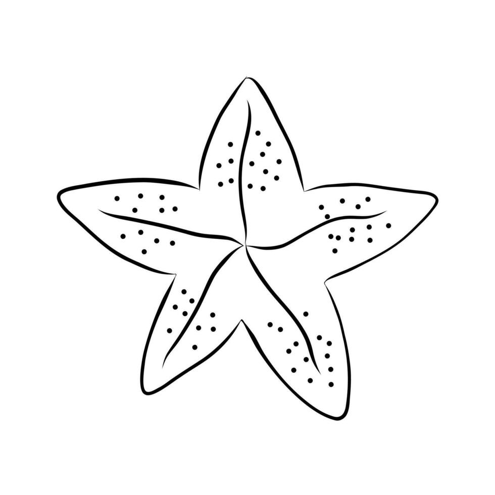 Starfish Vector Illustration in Doodle Style