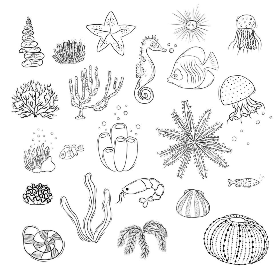 Set of Simple Vector Illustrations Depicting the Underwater World in Doodle Style