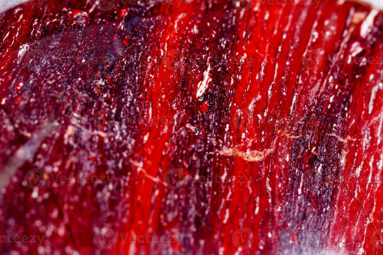 Macro mineral stone jasper zebra iron on a white background photo
