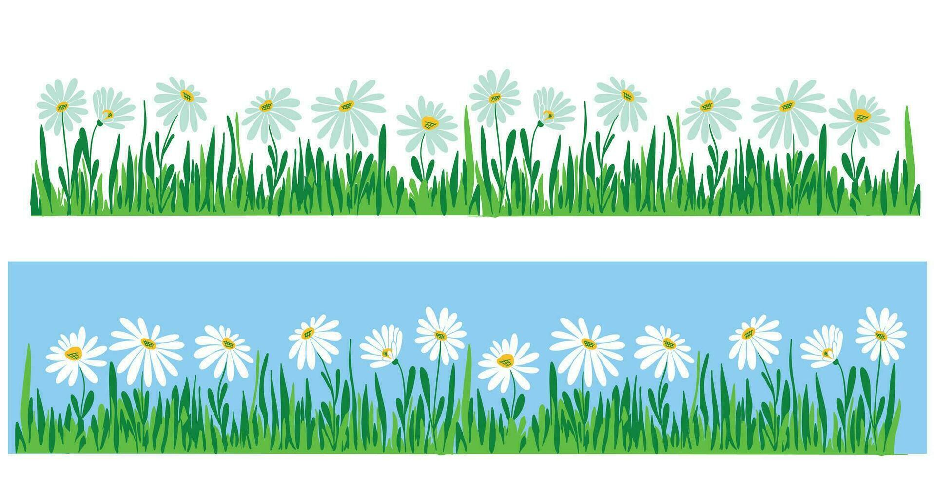 Wild chamomile flowers on the field vector