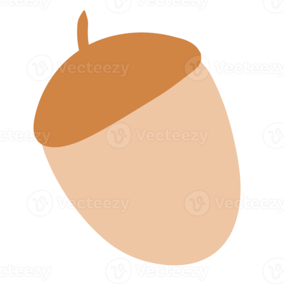 Acorn cartoon isolated png
