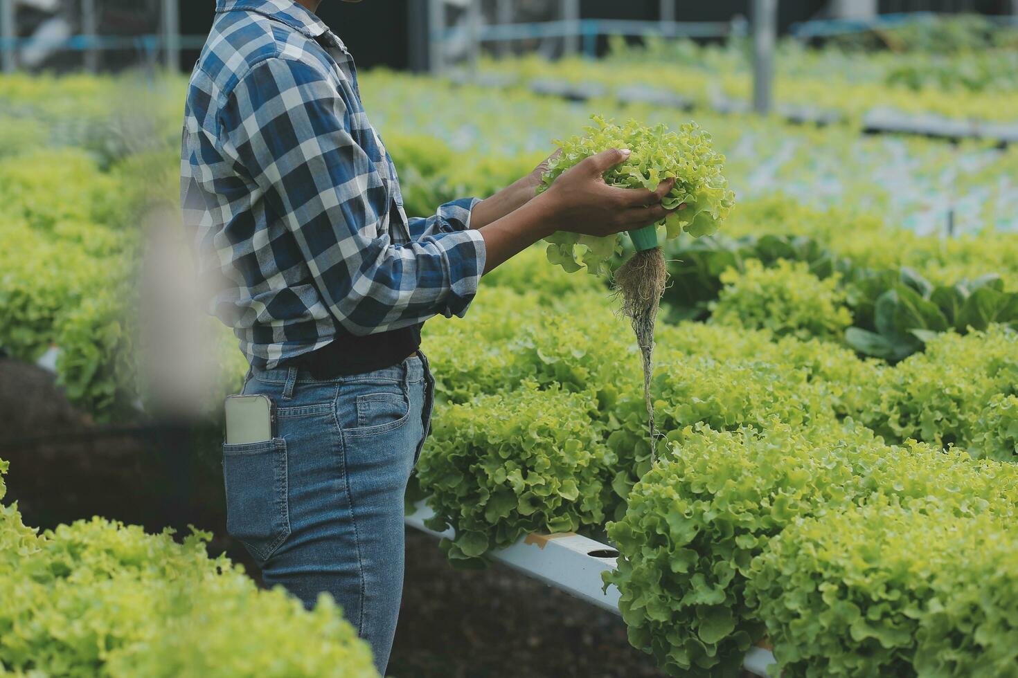 Asian woman farmer using digital tablet in vegetable garden at greenhouse, Business agriculture technology concept, quality smart farmer. photo