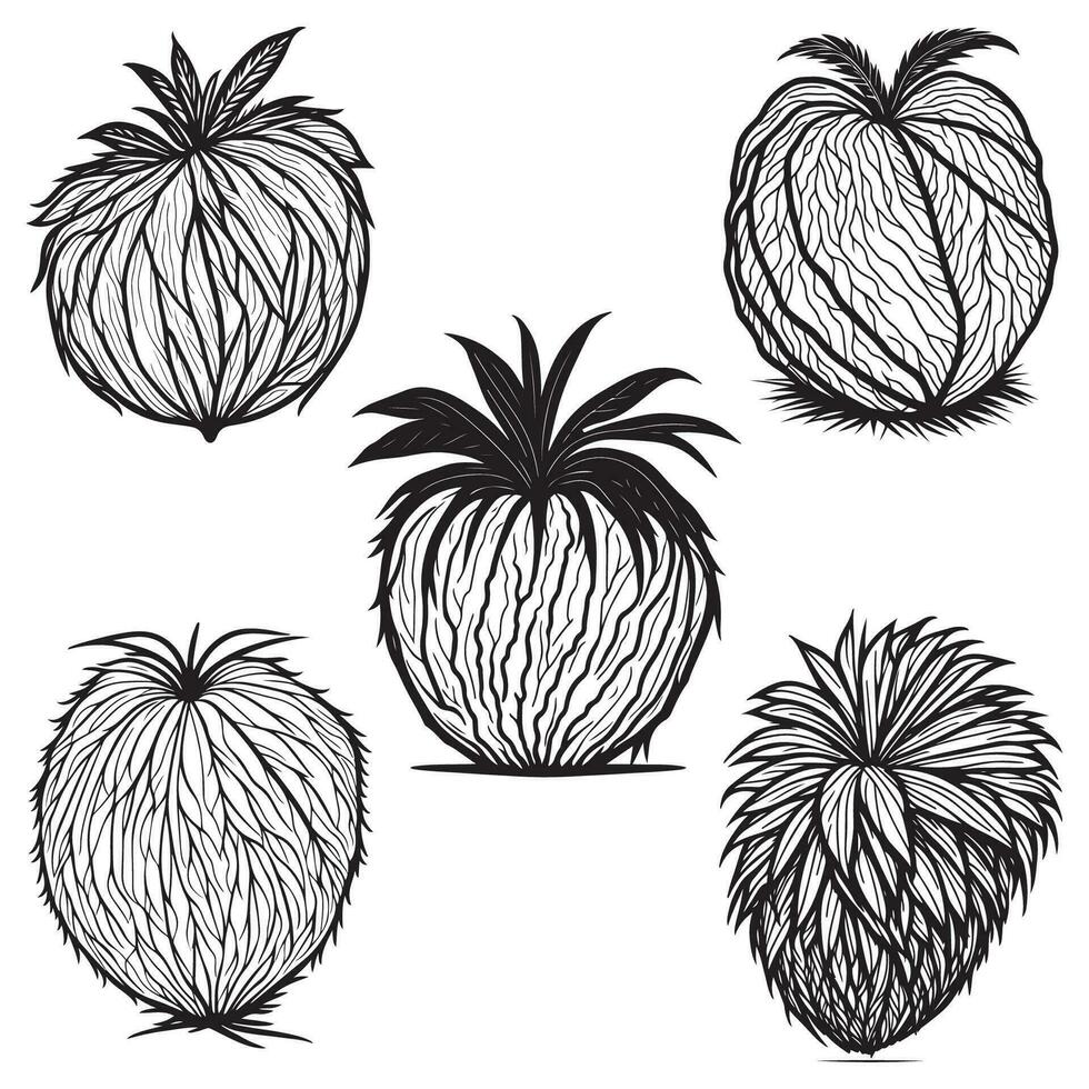 World Coconut Day, Coconut vector, Coconut sketch outline illustration vector