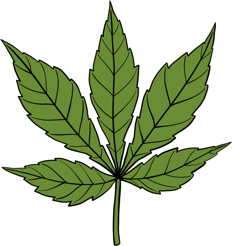 simplicity cannabis leaf freehand drawing png