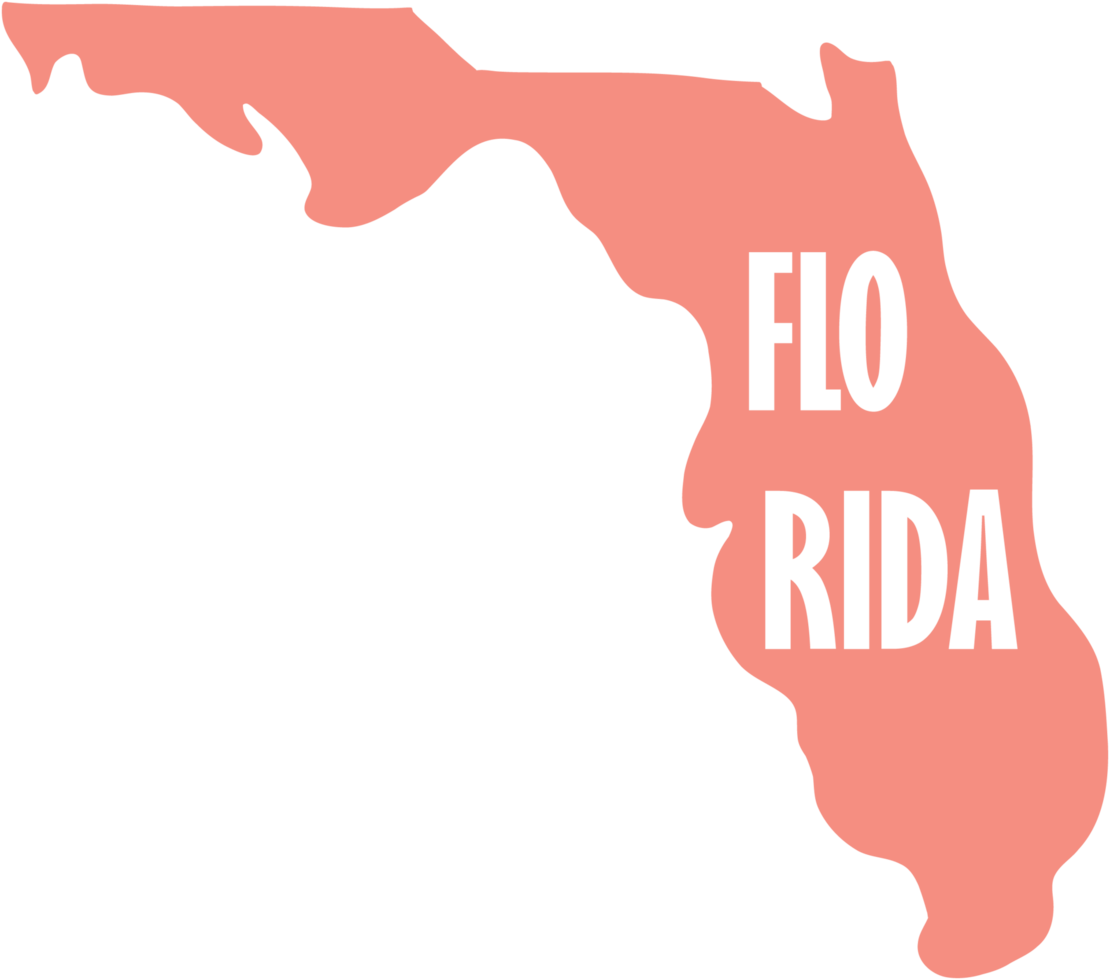 outline drawing of florida state map. png