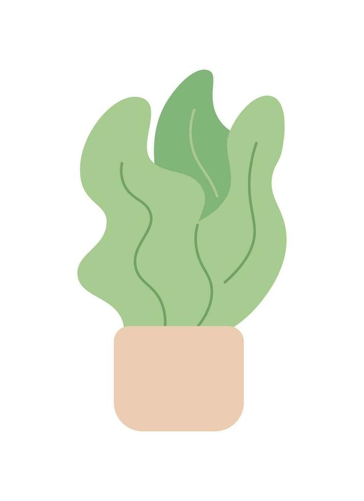Decorative house plant in ceramic pot semi flat colour vector object. Taking care of plants. Editable cartoon clip art icon on white background. Simple spot illustration for web graphic design