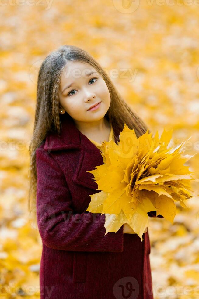 linda niña en otoño ropa en el parque participación un ramo de flores de amarillo hojas en el parque foto