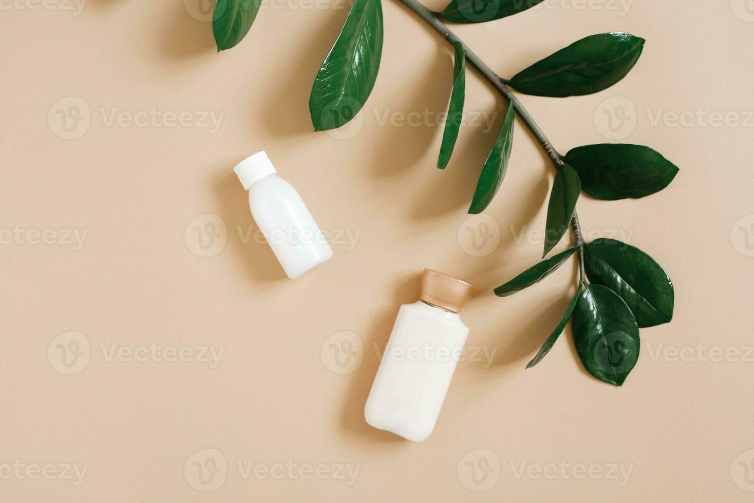 A branch of the green tropical plant zamiokulkas on a beige background and bottles of organic cosmetics, body cream or face cream. Herbal cosmetics for beauty photo