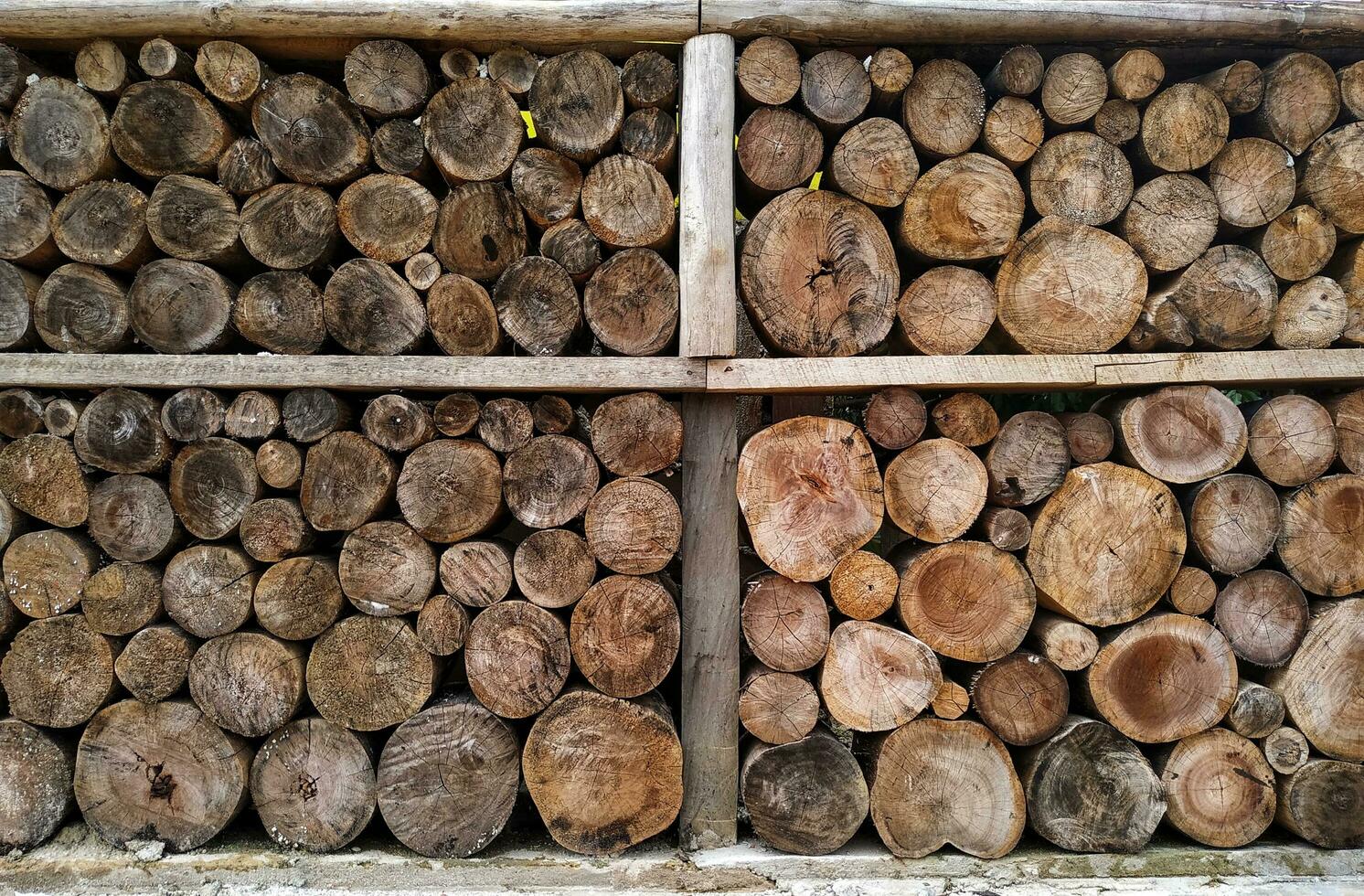 abstract background of cut and stacked wood. Texture and pattern of stack log. photo