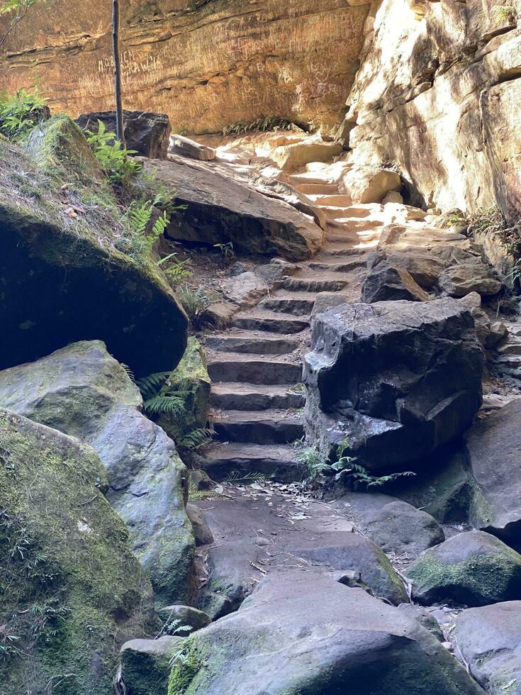 Grand Canyon Walk Katoomba NSW photo